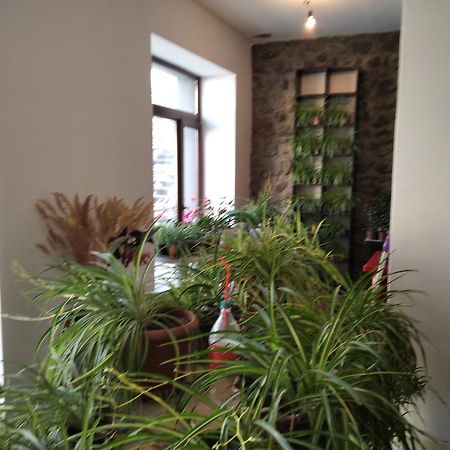 Aia Kazbegi Hotel ภายนอก รูปภาพ