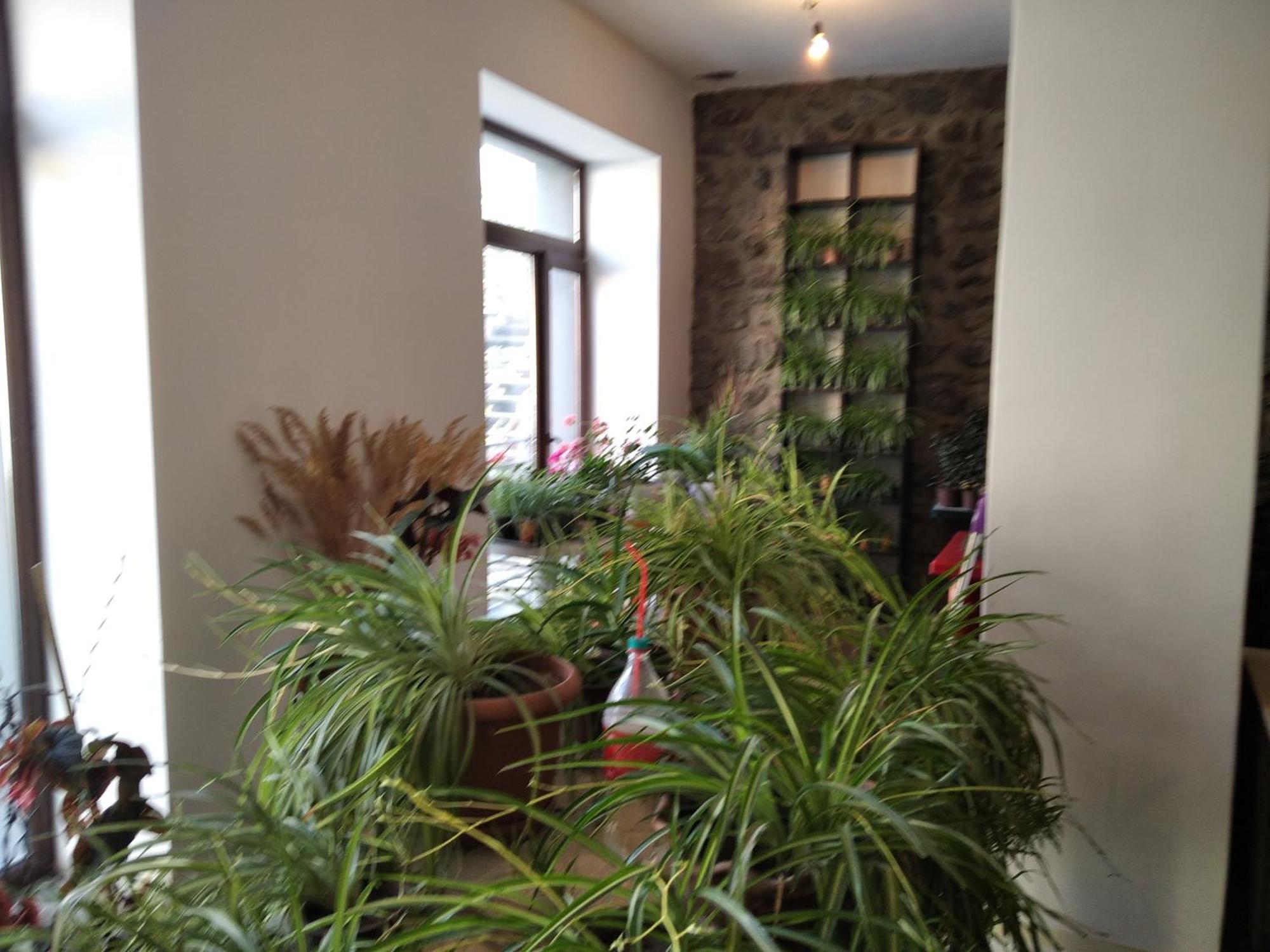 Aia Kazbegi Hotel ภายนอก รูปภาพ